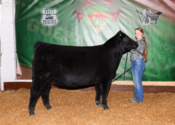 Bred-and-owned Junior Heifer Calf Champion