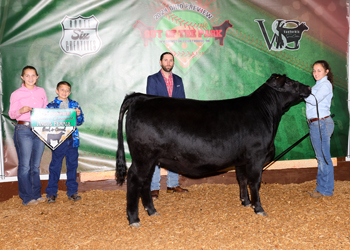 Reserve Grand Champion Bred-and-owned Female