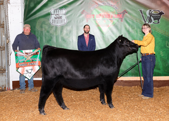 Grand Champion Owned Female