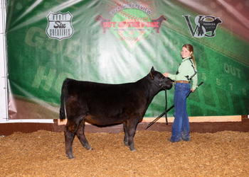 Bred-and-owned Fall Heifer Calf Champion