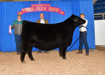 Reserve Grand Champion Owned Female