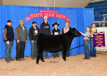 Grand Champion Bred-and-owned Female