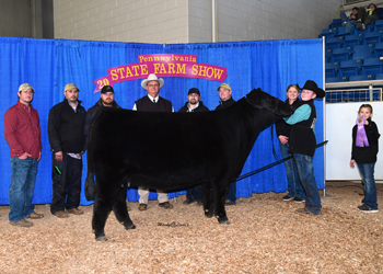 Reserve Grand Champion Female