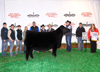 Reserve Grand Champion Female