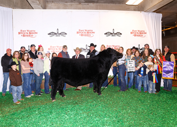 Grand Champion Bull