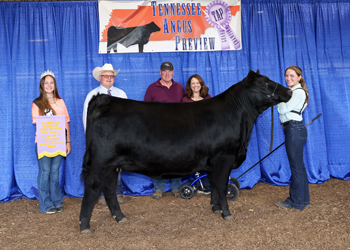 Reserve Grand Champion Bred-and-owned Female