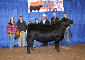 Grand Champion Steer