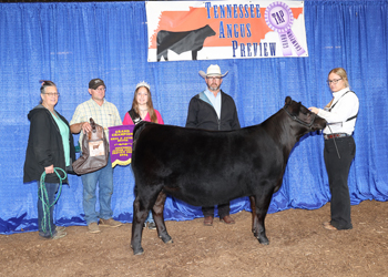 Grand Champion Bred-and-owned Female