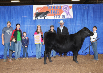 Reserve Grand Champion Owned Female