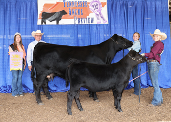 Reserve Grand Champion Cow-calf Pair