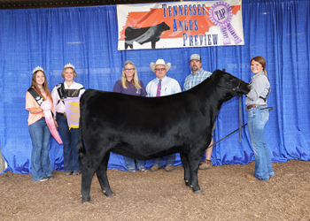 Reserve Grand Champion Female