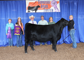 Grand Champion Female