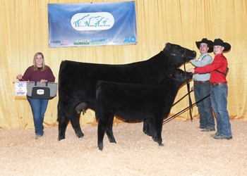 Reserve Senior Champion Female