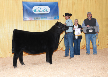 Reserve Senior Heifer Calf Champion