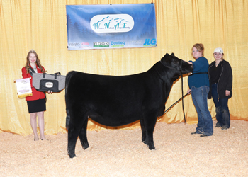 Reserve Junior Heifer Calf Champion - Div 1