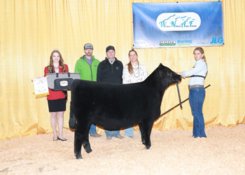 Reserve Fall Heifer Calf Champion