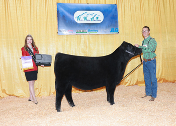 Summer Heifer Calf Champion