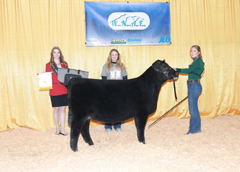 Reserve Summer Heifer Calf Champion