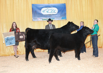 Grand Champion Cow-calf Pair