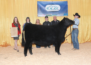 Owned Reserve Junior Champion Heifer