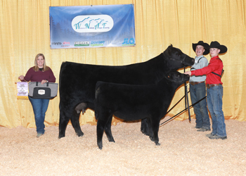 Owned Reserve Senior Champion Female