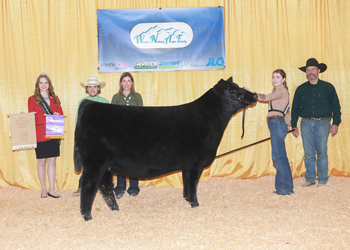 Owned Intermediate Champion Heifer