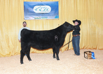 PGS Heifer Division 5