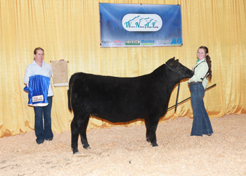 Bred-and-owned Reserve Senior Heifer Calf Champion