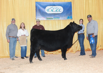 Bred-and-owned Junior Champion Heifer