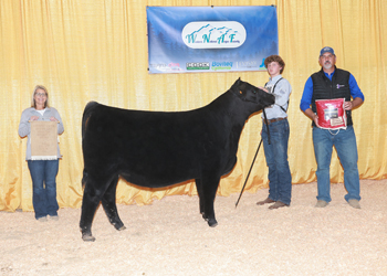 Owned Reserve Junior Heifer Calf - Division 2