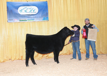 Bred-and-owned Reserve Summer Heifer Calf Champion