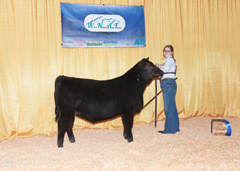 PGS Heifer Division 1