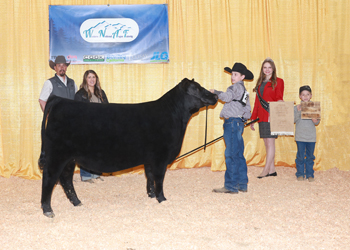 Owned Junior Heifer Calf - Division 2