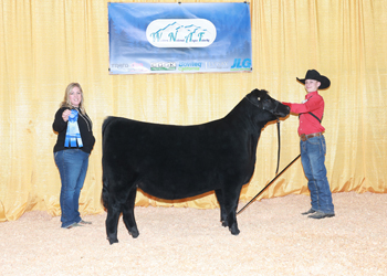 PGS Reserve Heifer Division 3