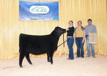 Owned Reserve Fall Heifer Calf Champion