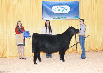 Owned Reserve Summer Heifer Calf Champion