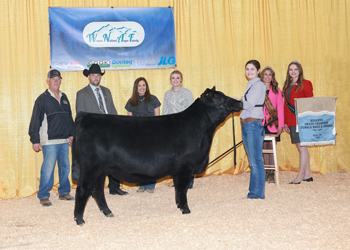 Reserve Grand Champion Bred-and-owned Female