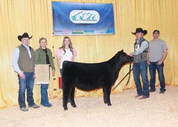 Bred-and-owned Reserve Fall Heifer Calf Champion